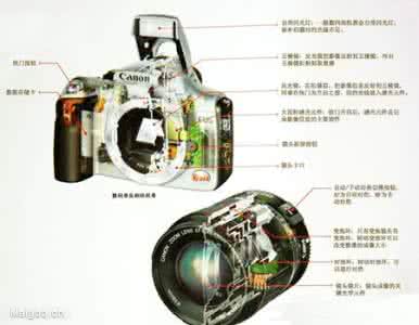 尼康p900成像画质怎样 成像画质媲美单反 热门单电相机全攻略(5)