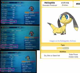 日月闪蛋位 普特梦特 梦特 怎么分辨梦特和普特?