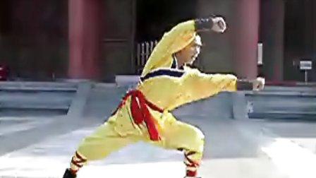 少林拳技击入门 少林拳教学视频 少林拳 | 内功五拳之虎拳技击
