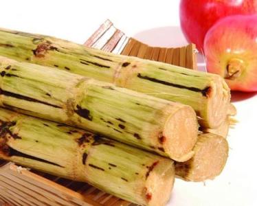 孕妇可以吃甘蔗吗早期 孕妇可以吃甘蔗吗