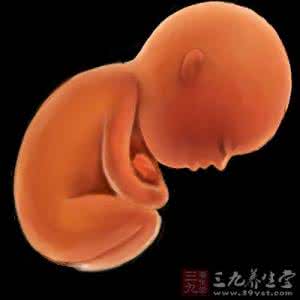 试管婴儿知道性别吗 不用医生说,就知道婴儿的性别
