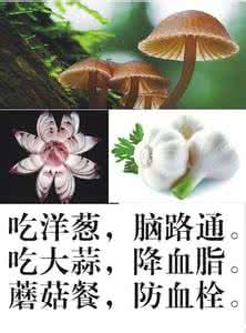 档案一定要转到公司吗 ?这个一定要转到你的手机上,别丢了!