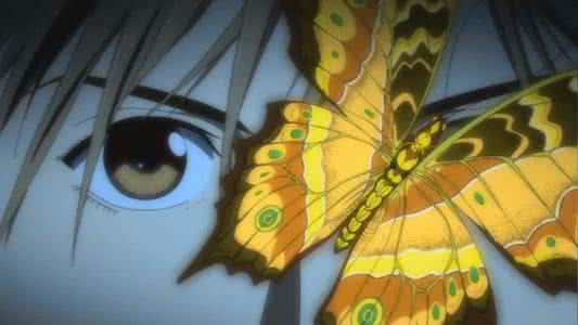 寸拳的发力图解 发力的秘密