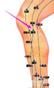 膝关穴位图 主治膝痛，脚气等