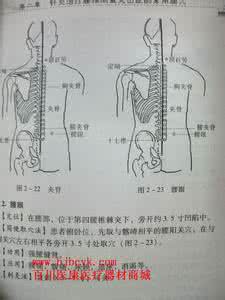 腰椎间盘突出会瘫痪吗 腰椎间盘突出瘫痪 腰椎间盘突出4个等级，你到第几级了，4级直接瘫痪