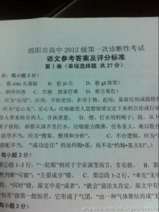四川省绵阳市实验高中 2016四川省绵阳市高中2013级第二次诊断性考试语文试题及答案解析(word版)