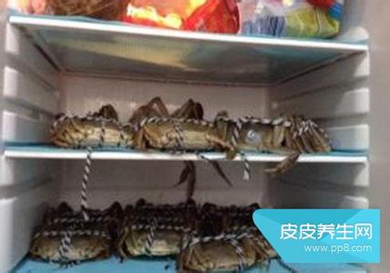 把美女放入冰箱视频 活鱼虾蟹放入冰箱冷藏室里可存活10多天 活鱼虾蟹保鲜奇迹