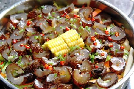 甲鱼的做法大全 【美味海鲜】甲鱼的做法大全