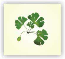 动脉粥样硬化偏方 一个改善动脉粥样硬化的偏方：你只需一种经常被丢掉的菜叶子！