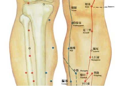 敲打足三里有什么好处 身上有个长寿要穴==足三里