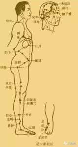 胆气不足 立春了,要壮胆,胆气足,则百病不粘!