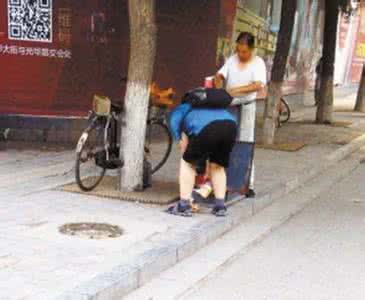 拉布拉多出门不拉尿 拉布拉多 出门拉不住 出门管不住？公共场所“管孩子”的妙计【Gymbo育儿商课堂】