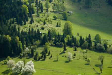清明节寄托哀思的作文 充滿寄托的清明节短信