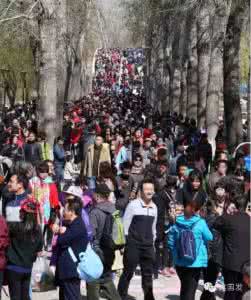 北漂都想嫁给北京人 绝对想不到!北京城里还有多少北京人
