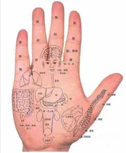 怎样知道五脏出问题了 你知道什么是你五脏的“根”吗?