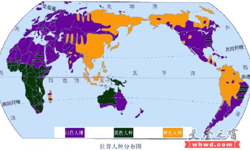 人种分布图 人种分布 种族、人种、分布_人种分布