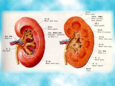 糖尿病肾病的症状 糖尿病肾病症状 引起糖尿病肾病的病因有哪些