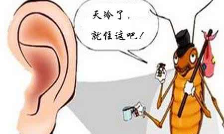 小强往蚊帐里爬原因 啊啊啊，有小强爬到耳朵里了~｜附杀死蟑螂完全手册