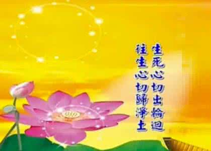 刘素云姐姐往生闹剧 刘素云:怎样才能够做到往生心切