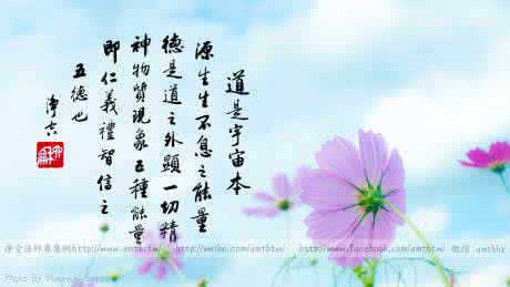 清澈的理由 净土法门：见理不透澈，还被这些假东西欺骗，你往生没有把握