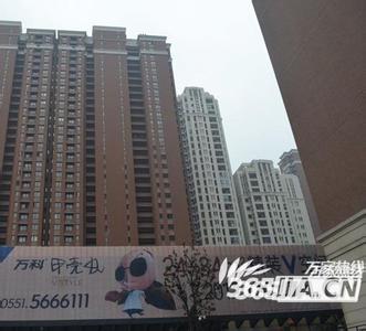 合肥万科甲壳虫公寓 合肥万科甲壳虫公寓 合肥大众甲壳虫价格直降2.88万元 有现车