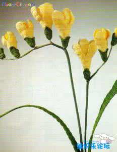 钩针编织盆景花卉图解 【钩针教程】钩织各种花卉