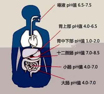 中医学博士 很多癌症是自找的！中医学博士总结6字诀，斩断癌症魔爪，太简单！