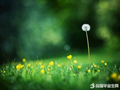 我爱你这是我的劫难 早安心语:我爱你,这是我的劫难