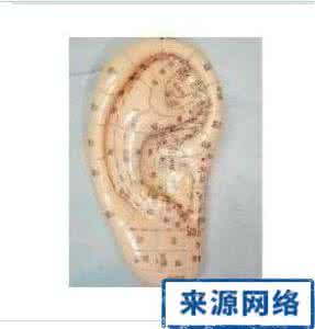 怎样按摩耳朵降血压 紧急降血压耳朵放血有奇效