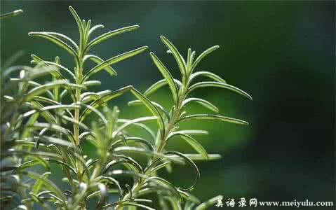 把思念寄托远方 把思念寄托远方 思念，寄托在片片琉璃的雪花里【情感美文】】