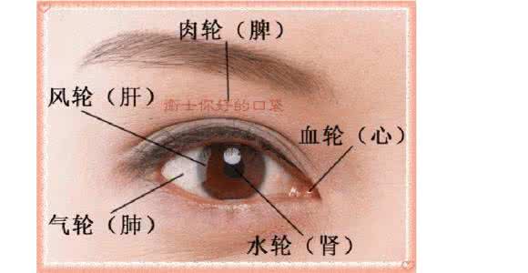 达摩相眼 论眼