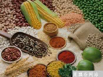 粗纤维食物有什么好处 粗纤维食物有什么功效