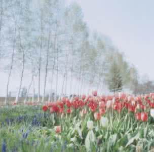 爱自己别人才会爱你 爱自己的人，才会有人爱