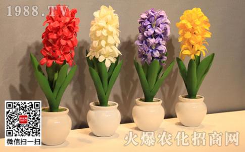 风信子可以放卧室吗 风信子可以放客厅吗?