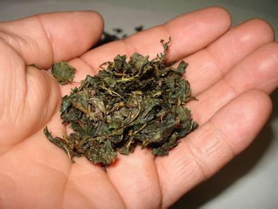桑叶洗头能治脱发吗 桑叶熬水治脱发