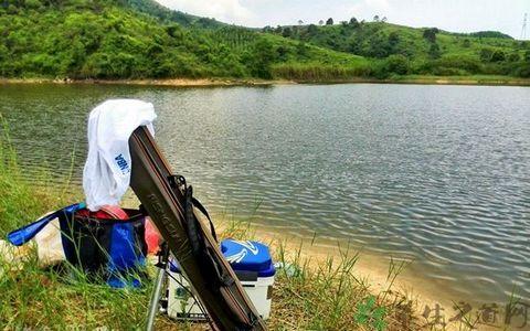 夏季水库钓鱼最佳钓点 夏季水库钓鱼的做窝方法