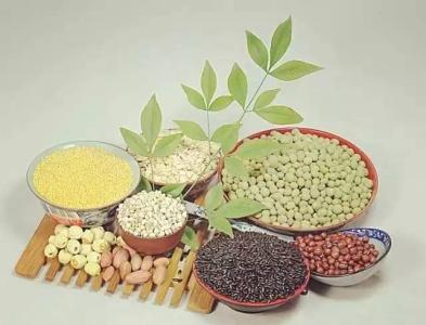 补肾佳品 6种补冬佳品最养身体