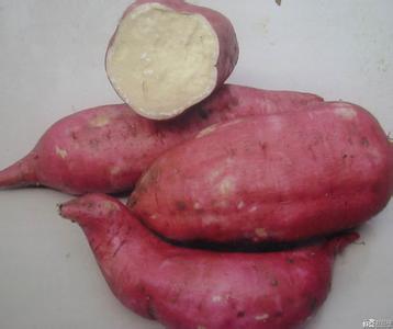 白薯不能和什么一起吃 产妇能吃白薯 产妇可以吃白薯吗