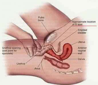 刺激女性g点教学视频 如何让男人高潮 刺激男人的G点