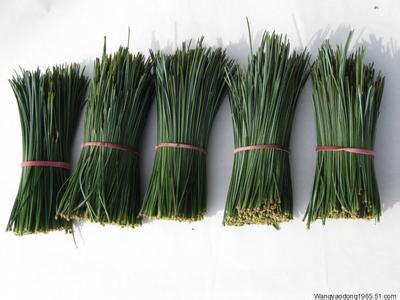 富含叶绿素的食物 富含叶绿素的蔬菜 艾草茶富含单宁酸、叶绿素 可改善虚寒、预防心血管疾病