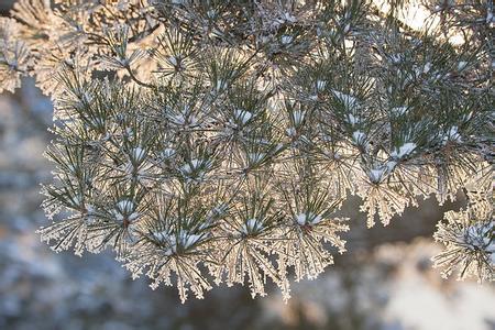 来一场雪的旅行，国内这10个地方最值得去