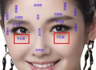 面相十二宫详解 面相十二宫：子女宫详解