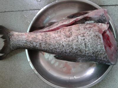 八爪鱼头部内脏能吃吗 这种鱼脏到惊人千万别吃