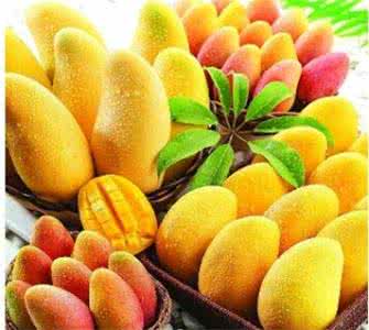 吃芒果的注意事项 宝宝吃芒果的注意事项