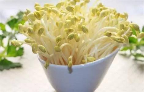 补阳气的菜 春天吃10菜种补足阳气，身体棒棒一整年