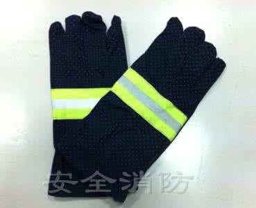 冬日戴手套 鼠标指针 PACIOS 2012 m.----冬日手套专辑