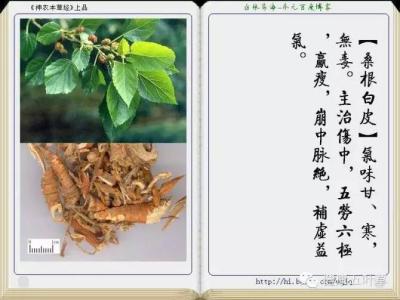 中草药药性介绍大全 中草药药性大全(图文介绍)