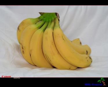 吃香蕉能减肥吗 香蕉减肥 怎样吃香蕉减肥