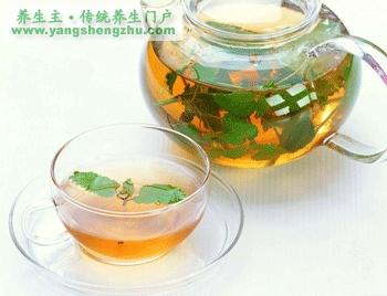桑菊薄荷饮 桑菊薄荷饮 鼻炎可以喝桑菊薄荷饮