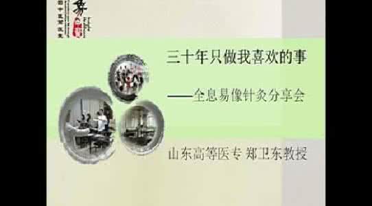 全息易象针灸 全息易象针灸 针道—全息易象针灸